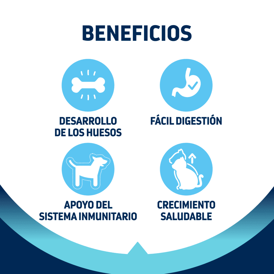 10 kg Advance Active Defense Frango e Arroz ra&ccedil;&atilde;o para gatinhos, , large Imagem n&uacute;mero 4